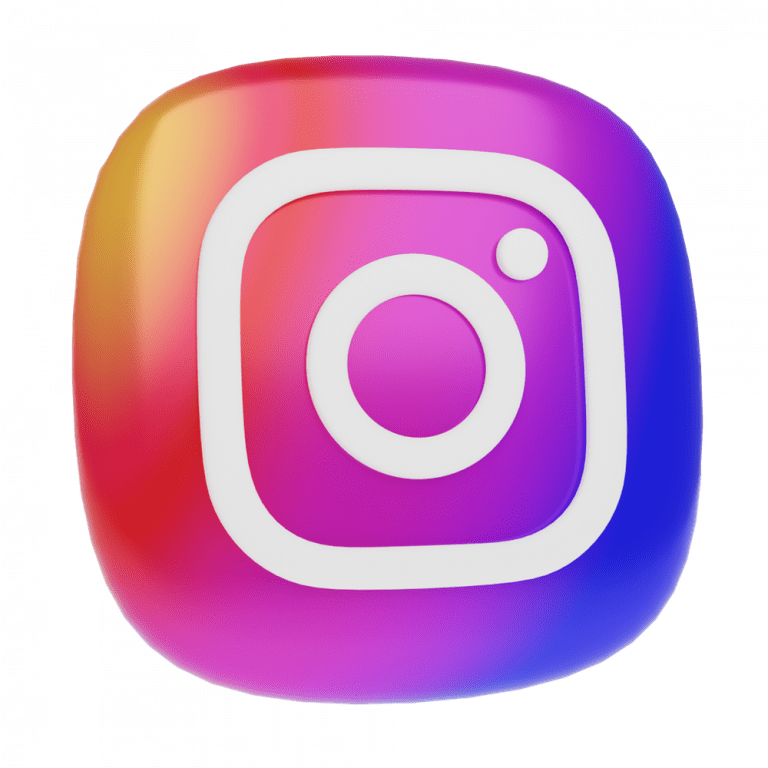 instagram icon for social media on seo website